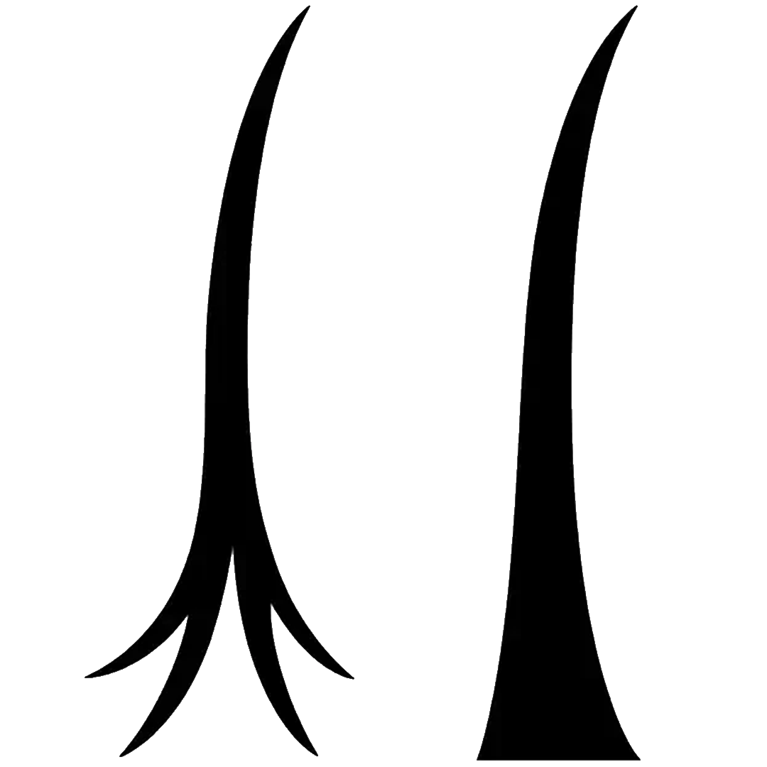 list item image